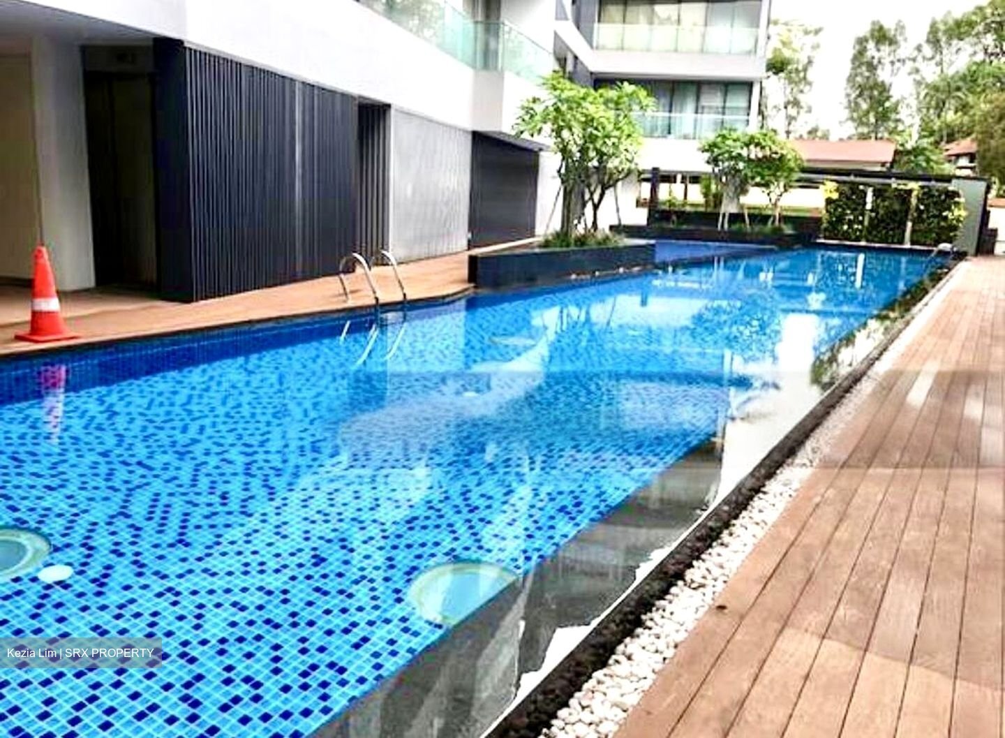 The Holland Collection (D10), Apartment #456585011